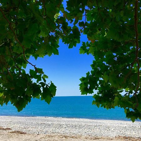 Guesthouse U Moti New Athos Екстер'єр фото